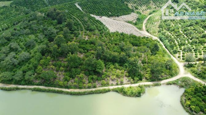 5,4 sào đất trồng cà phê mặt hồ đường ô tô vào tận nơi