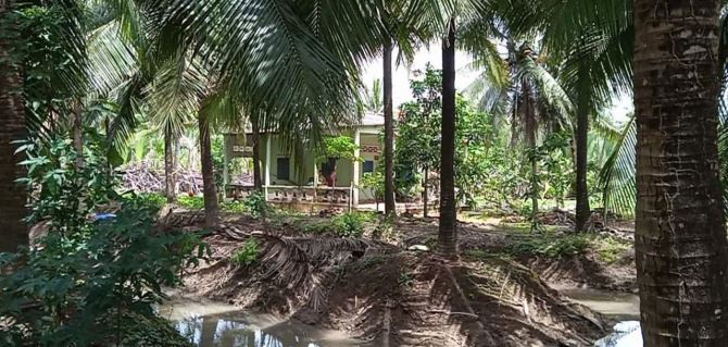 Giáp Sông lớn - Đất 5000m2 (Ngang 60 x Dài 85) - Công nhận 3900m2 ( Có 300m2 Thổ cư)