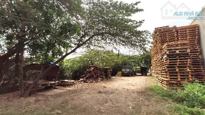 Bán đất làm nhà xưởng đường An Phú Đông 25 phường An Phú Đông Quận 12 - 1