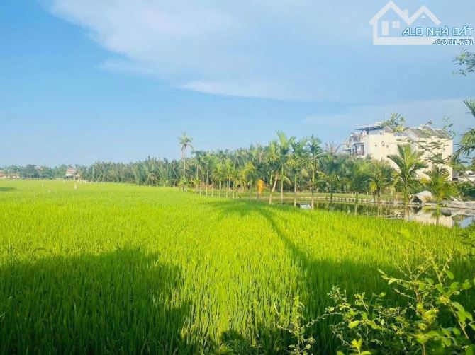 Bán lô đất mặt tiền Trần Nhân Tông có view lúa phía sau rất đẹp - 1