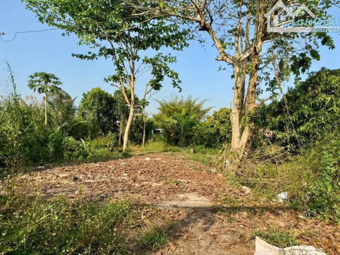 🔰 Bán 2.414m² (23.5m x 104m, thổ 400m², còn lại đất lúa) 🔰 Quốc Lộ 30 - 1