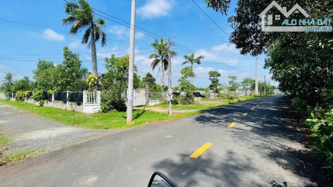 Phước Hội- Đất Đỏ BRVT  DT: 1019m2- Đã xây rào kiên cố - 1