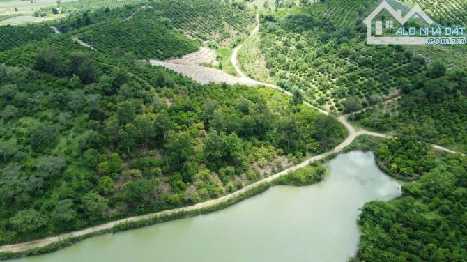 5,4 sào đất trồng cà phê mặt hồ đường ô tô vào tận nơi - 1