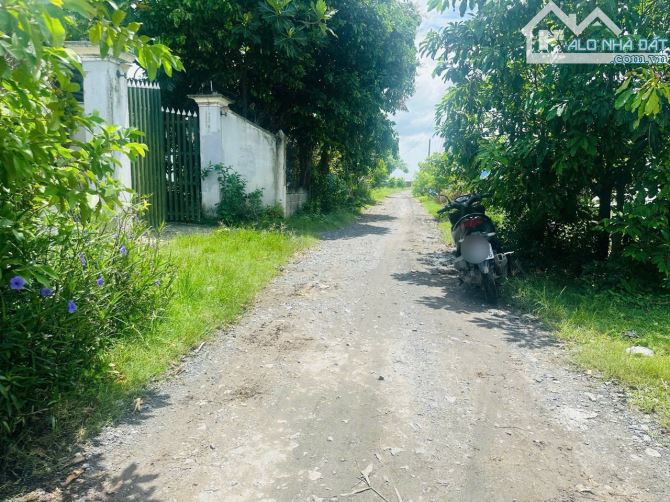 Bán 1.180m2 đất thổ cư, đường xe tải gần KDC Phú Sinh, KDC An Huy Mỹ Việt - 2