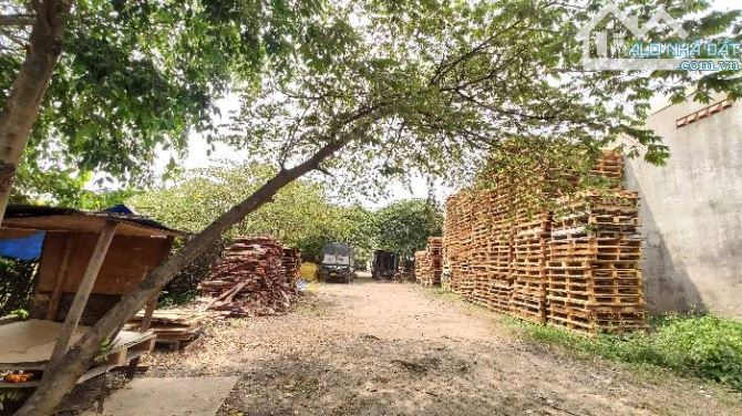 Bán đất làm nhà xưởng đường An Phú Đông 25 phường An Phú Đông Quận 12 - 2