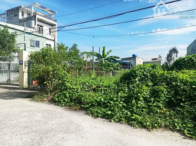 Bán đất đường 155 - 549m2 - 11x55 - 100m2 thổ cư - xã Bình Mỹ - Củ Chi - 2