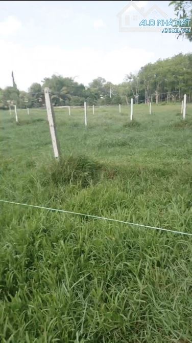 Bán 3157m2 đất thổ cư, đường Cây Gõ,An Phú, Củ Chi, HCM giá nhỉnh 16 tỉ - 2