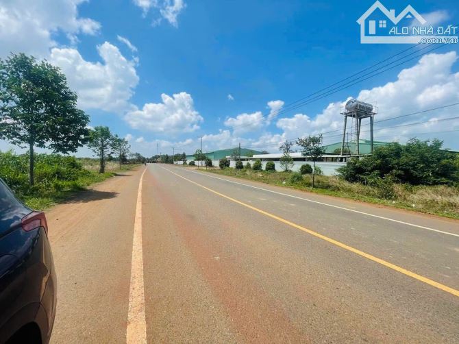 765m2 ĐẤT MẶT TIỀN TỈNH LỘ 765🌈🌈🌈 CHỈ 3TỶ100TR🌈🌈 - 2