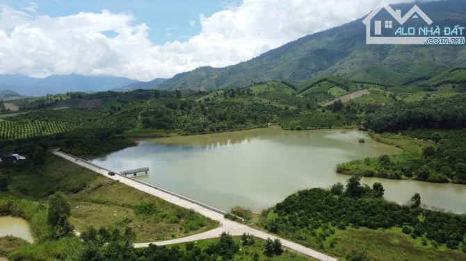 5,4 sào đất trồng cà phê mặt hồ đường ô tô vào tận nơi - 2