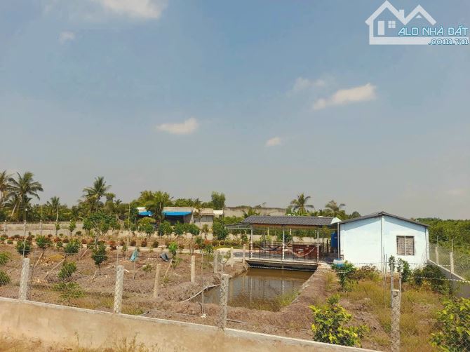 Quá Thơm, Vườn mít 1300m2 đất View Kênh mát mẻ chỉ 1.3 tỷ - 3