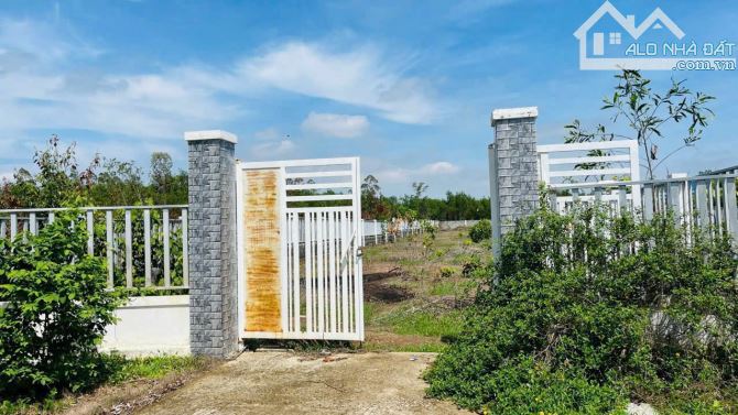 Phước Hội- Đất Đỏ BRVT  DT: 1019m2- Đã xây rào kiên cố - 3