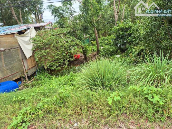BÁN ĐẤT MẶT TIỀN TỈNH LỘ 830 VỊ TRÍ ĐẮC ĐỊA, THÍCH HỢP KINH DOANH DT 5x78m GIÁ 1.65 TỶ - 3