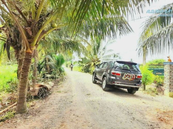 Quá Thơm, Vườn mít 1300m2 đất View Kênh mát mẻ chỉ 1.3 tỷ - 4