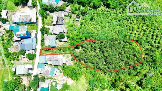 2896m Có 153m Đất Ở, 377m CLN, 2366m RSX - View Cánh Đồng Làm Nghỉ Dưỡng Tuyệt Vời - 5