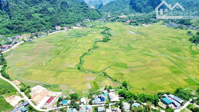 2896m Có 153m Đất Ở, 377m CLN, 2366m RSX - View Cánh Đồng Làm Nghỉ Dưỡng Tuyệt Vời - 6