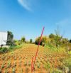 ✅934m2 TRUNG TÂM THỊ TRẤN ĐẤT ĐỎ - LONG ĐẤT - BRVT GIÁ CHỈ 2,2 TỶ