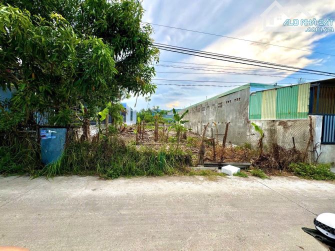 Bán lô đất đẹp mặt tiền đường Trần Đăng Ninh , xã Phước Đồng  Ngang 12m full thổ