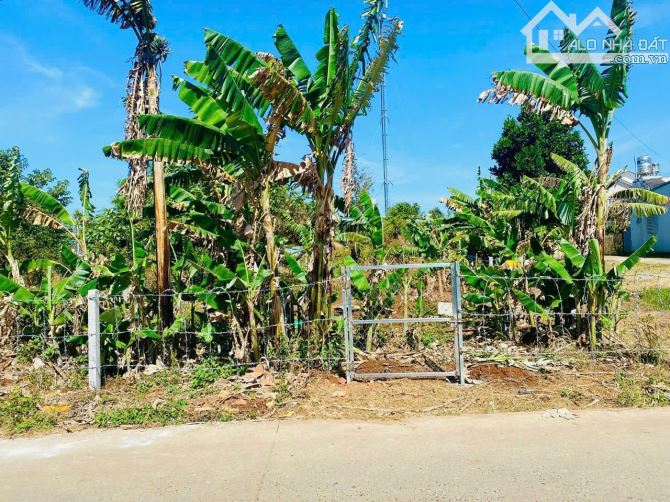 🌈🌟Đất Đẹp Mặt Tiền TRỊNH TỐ TÂM - Tân Lợi (10x45m👉7,8 tỷ)