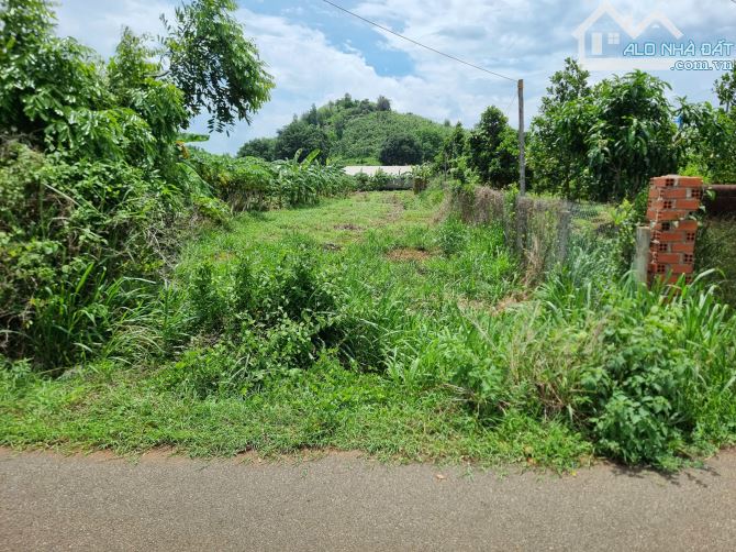🌟 CẦN BÁN 1000m² ĐẤT MẶT TIỀN ĐƯỜNG NHỰA – XÃ LONG PHƯỚC, TP. BÀ RỊA 🌟