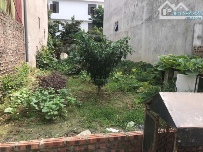 CC GỬI LÔ ĐẤT ĐẸP ĐÔNG LAI- QUANG TIẾN- SÓC SƠN DIỆN TÍCH 73M2 TÀI CHÍNH NHỈNH HƠN 3 TỶ