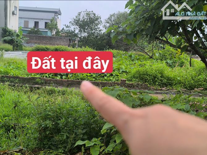 💥💥Chủ cần bán gấp 45m2 đất bìa thôn Bến Trung xã Phúc Thịnh, Hà Nội.3,1 tỷ