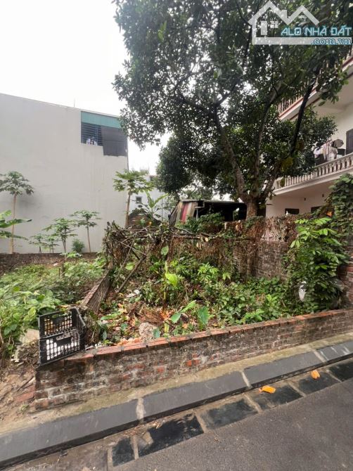 BÁN GẤP ĐẤT NỀN XÓM THƯỢNG CỔ LOA, 73M2 NGÕ THÔNG Ô TÔ, VÀI BƯỚC RA HỒ ĐIỀU HOÀ - 1