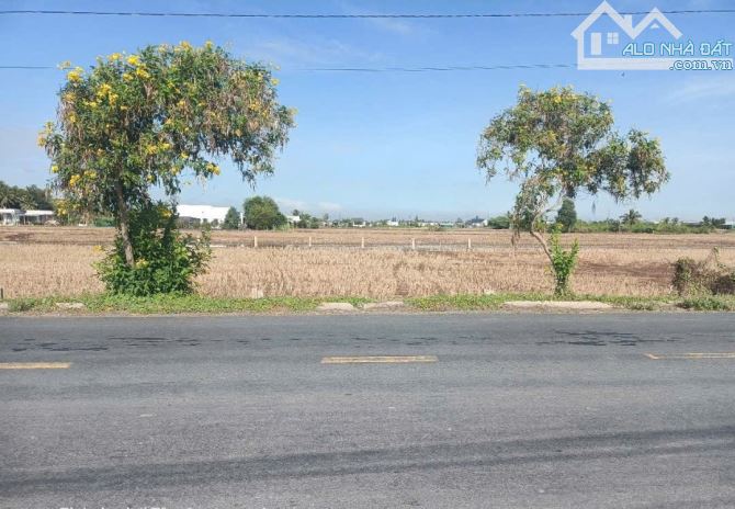 🥰🥰RẼ NHẤT KHU VỰC BÁN ĐẤT MT CAO THỊ MAI TÂN TRỤ 5X42M GIÁ 1TỶ400TR - 1
