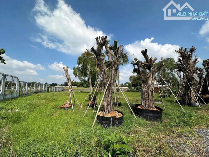 Siêu hiếm 4226m2 đất, Hương Lộ 2, Phước Vĩnh An, Củ Chi - 1
