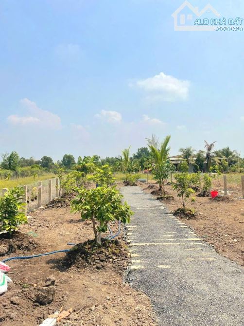 Hàng thơm, nhà vườn 500m2 view kênh cực đẹp chỉ 879tr - 1