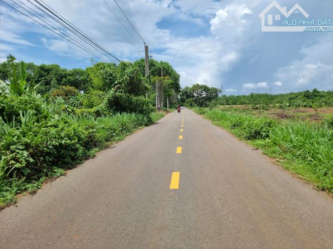 🌟 CẦN BÁN 1000m² ĐẤT MẶT TIỀN ĐƯỜNG NHỰA – XÃ LONG PHƯỚC, TP. BÀ RỊA 🌟 - 1
