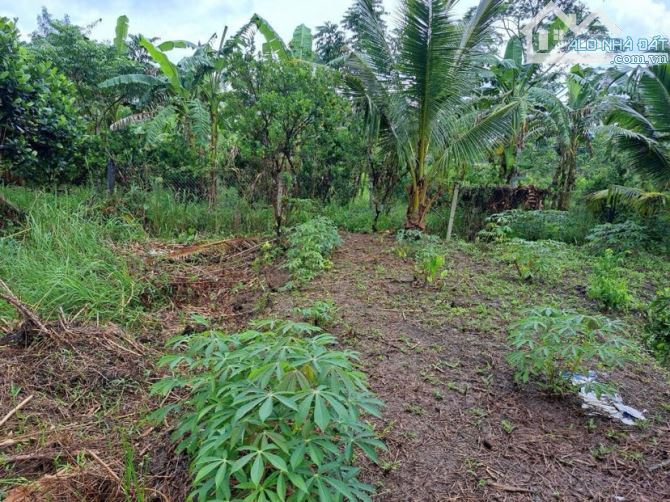 Bán đất 486 m2 gần cầu Vàm  Sáng  có thổ cư 1,45 tỷ - 1