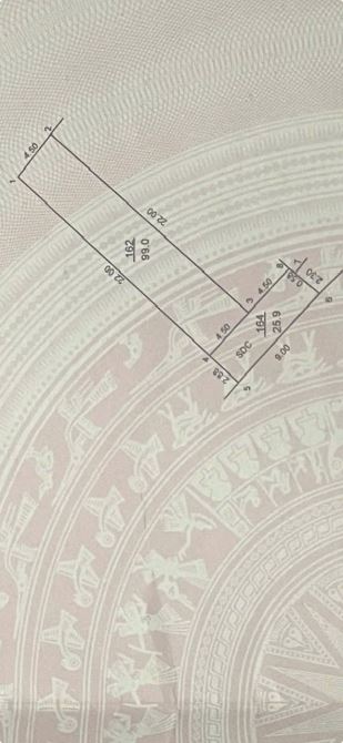 Thế Trạch - Mai Đình - Sóc Sơn ô tô nhỏ đỗ cửa 99m2 full thổ cư - 1