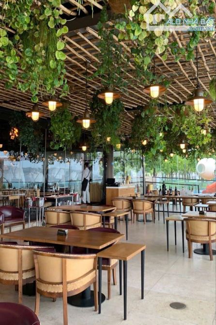 CHO THUÊ ĐẤT LÔ GÓC 3 MẶT TIỀN VÕ NGUYÊN GIÁP, VỊ TRÍ VIP - 1