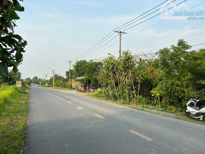 Bán đất thổ cư 500m2 mặt tiền đường Đặng Công Bỉnh - 1