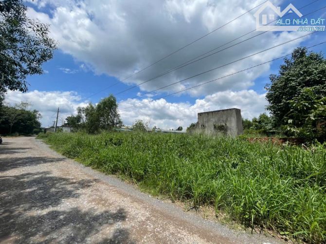 Bán lô đất 9000m2 đã lên SKC tại An Viễn, Trảng Bom, Đồng Nai, Giá 29 tỷ. - 1