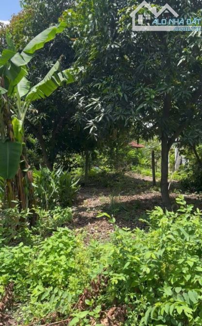 Bán Gấp 2833m2 Đất MT Nguyễn Ảnh Thủ, Hóc Môn - Dòng Tiền 80tr/th Chỉ 155 Tỷ - 2