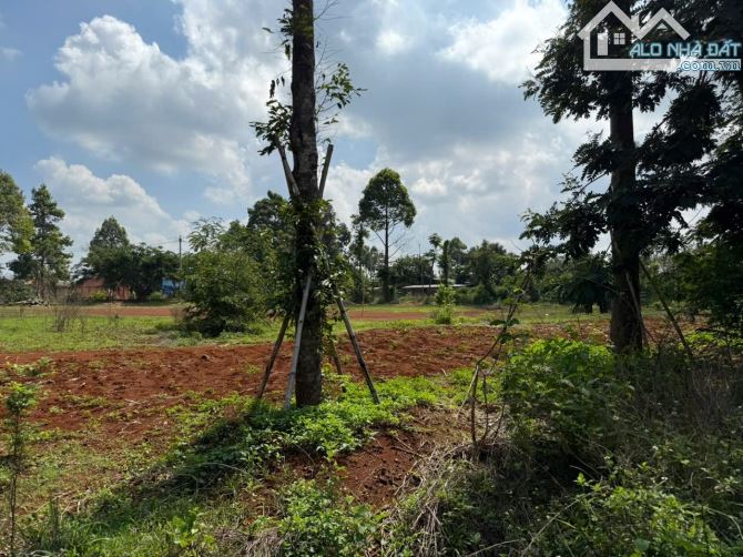 Bán lô đất Hoà Xuân , đường Phan Huy Chú giá tốt - 2
