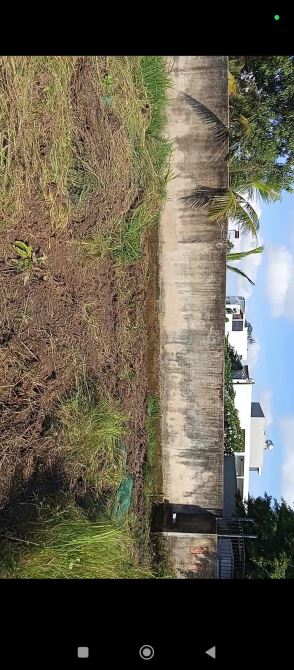 Bán 7,277m2 đất mặt tiền đường Bưng Ông Thoàn, phường Phú Hữu, TP.Thủ Đức. - 2