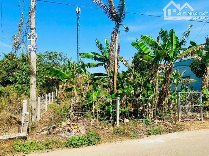 🌈🌟Đất Đẹp Mặt Tiền TRỊNH TỐ TÂM - Tân Lợi (10x45m👉7,8 tỷ) - 2