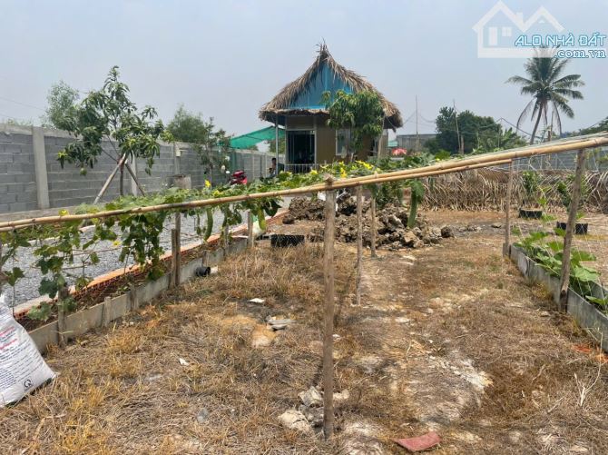CẦN BÁN NHÀ VƯỜN 1293M² – THỊ TRẤN CẦN GIUỘC – giá chỉ 4ty3 - 2