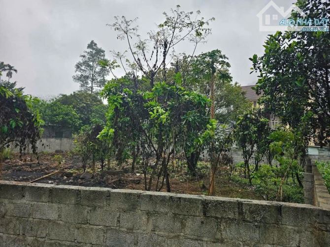 SIÊU PHẨM CAO DƯƠNG - LƯƠNG SƠN -HB DT 500M2 CÓ TC VÀ VƯỜN GIÁ CHỈ HƠN 1 TỶ - 2