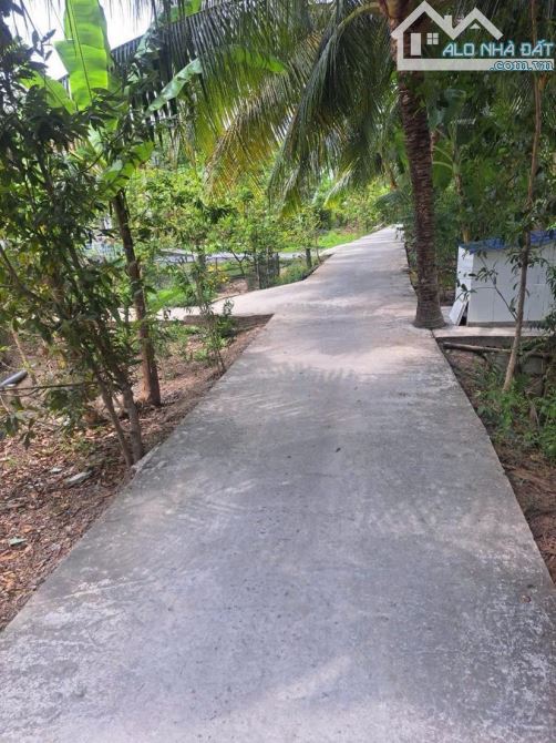 Bán đất 486 m2 gần cầu Vàm  Sáng  có thổ cư 1,45 tỷ - 2