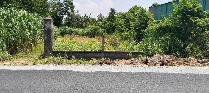 Cần bán lô đất mặt tiền đường Huỳnh Văn Cọ, Thị Trấn Củ Chi, 91m2, full thổ cư, SHR - 2