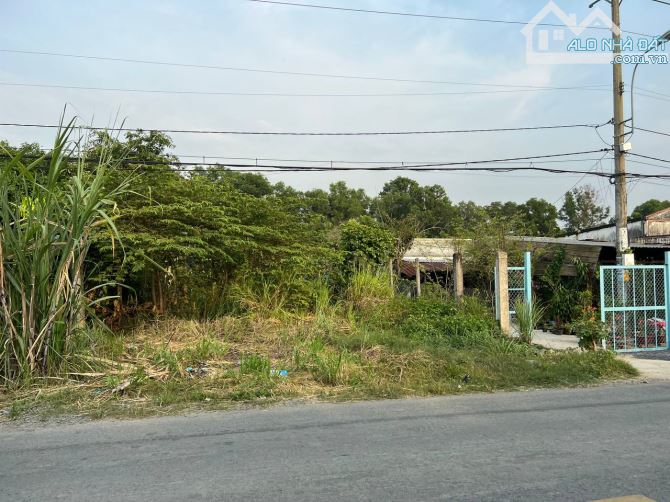 Bán đất thổ cư 500m2 mặt tiền đường Đặng Công Bỉnh - 2