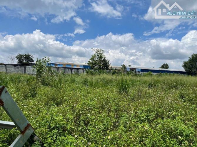Bán 9000m2 đất quy hoạch SKC An Viễn, Trảng Bom gần KCN Giang Điền, Đồng Nai - 2
