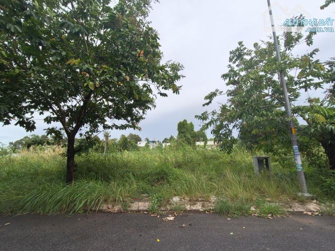 📌 ĐẤT PHÂN LÔ VUÔNG ĐẸP – NGUYỄN DUY TRINH Q9 – GIÁ CHỈ - 3
