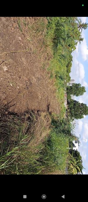 Bán 7,277m2 đất mặt tiền đường Bưng Ông Thoàn, phường Phú Hữu, TP.Thủ Đức. - 3