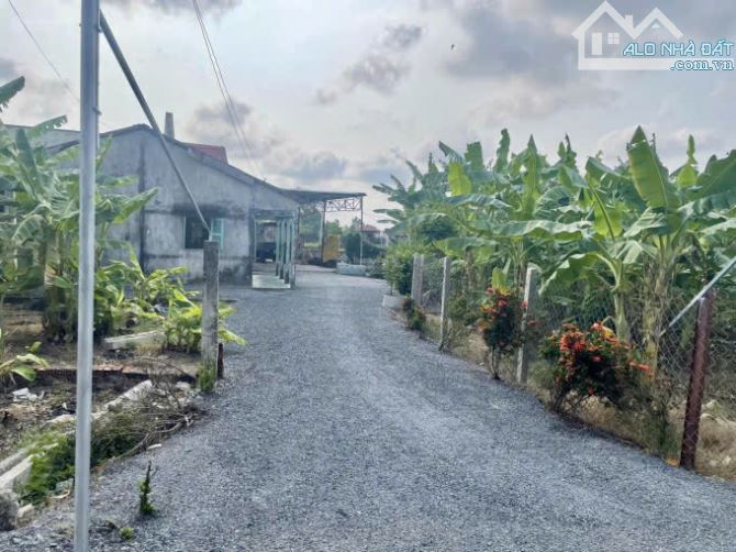 Chính chủ gửi 184m2 ( 7,9m x 23m ) đất thổ giá 1ty5 - 3