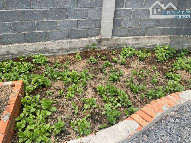 CẦN BÁN NHÀ VƯỜN 1293M² – THỊ TRẤN CẦN GIUỘC – giá chỉ 4ty3 - 3