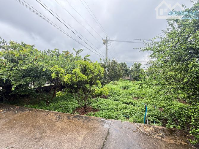 Bán Villa Sân Vườn Đã Hoàn Công 1000m2 Góc Hai Mặt Tiền Ngang 27m Có Đầy Đủ Cây Ăn Trái - 3